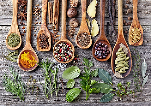 Kruiden en Specerijen-Herbs and Spices